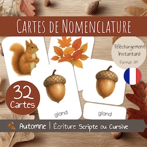 Può includere: Flashcard educative con illustrazioni a tema autunnale. Le carte mostrano uno scoiattolo, foglie e ghiande. Il testo sulle carte include "32 Cartes" e "gland". Il titolo "CARTES DE NOMENCLATURE" è in alto, con "Automne | Écriture Scripte ou Cursive" in basso.