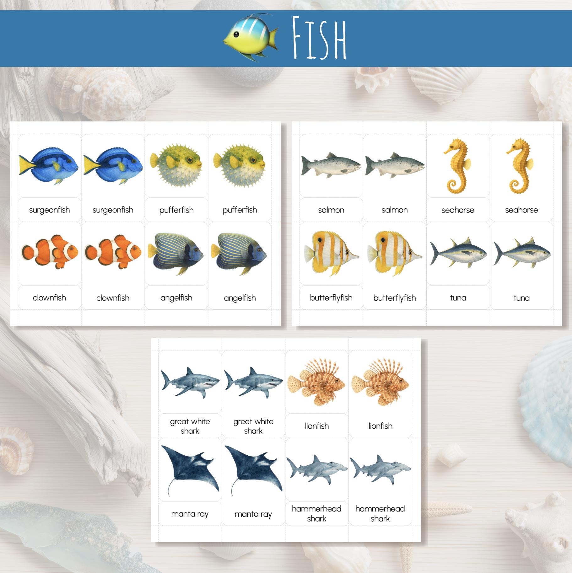 Ocean Animals Montessori Three-part Cards | 28 Printable Marine Animals ...