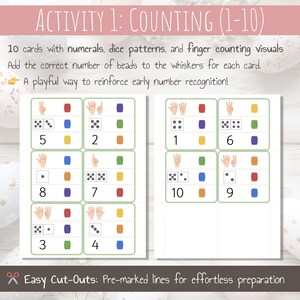 May include: Ten printable cards with numbers 1-10, dice patterns, and finger counting visuals. Each card has a space for adding beads to the whiskers.