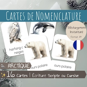16 Cartes de Nomenclature en français – Thème Animaux de l'Arctique – Pôle Nord – Banquise – Cartes Montessori – Images classifiées – PDF