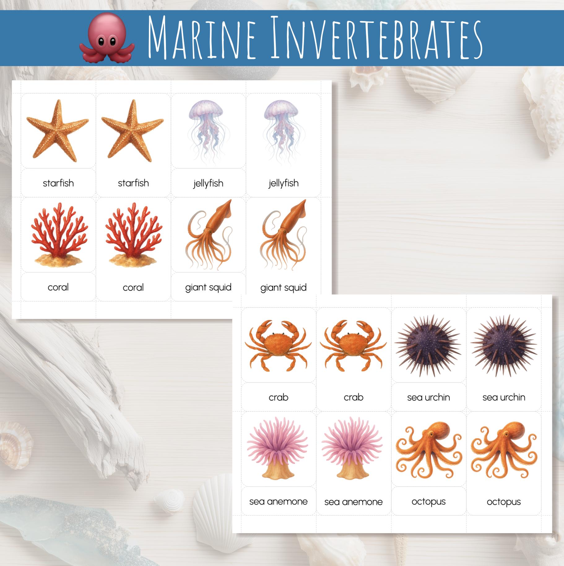 Ocean Animals Montessori Three-part Cards | 28 Printable Marine Animals ...