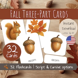 May include: Fall-themed three-part flashcards featuring a squirrel, acorns, and fall leaves. The cards are labeled "acorn" and include the text "Fall Three-Part Cards", "32 Cards", and "32 Flashcards | Script & Cursive options". The cards are available for instant download.
