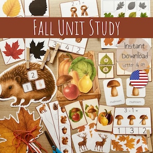 Puede incluir: Una colección de materiales educativos con temática otoñal. La imagen presenta tarjetas didácticas con ilustraciones de hojas, calabazas y setas. El texto "FALL UNIT STUDY" se muestra de forma destacada, junto con "Instant Download Letter & A4".