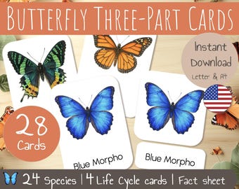 28 Butterfly Montessori Three-part Cards – Nomenclature Cards – Spring Flashcards – Butterfly Life Cycle Cards – Toddler Preschool Printable