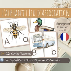 Cartes à associer correspondance des lettres | Cartes en Français | Correspondance Majuscules et Minuscules | Ressource Éducative Montessori