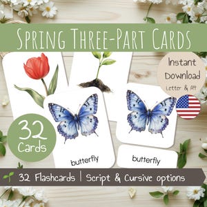 32 karty Montessori Spring Three-Part – Karty nomenklatury – Karty obrazkowe botaniczne – Słownik przyrodniczy – Wydruk dla przedszkolaków