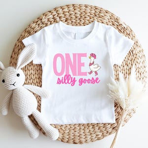 One Silly Goose, One Silly Goose Birthday, Silly Goose Shirt, First Birthday Shirt, 1st Birthday Shirt, Boys Birthday Shirt