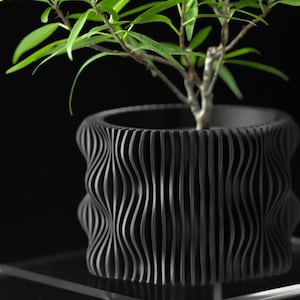 May include: A matte black cylindrical plant pot featuring a vertical, undulating wave pattern along its exterior surface. A small green leafy plant with thin, pointed foliage grows from the center of the container against a dark background.
