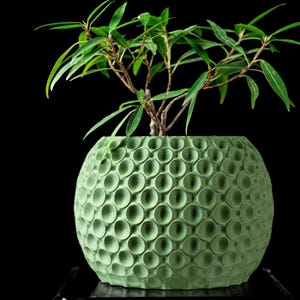 May include: A green, spherical planter with a textured, dimpled surface, holding a small, leafy green plant. The plant has long, slender leaves and brown stems. The planter is set against a black background.