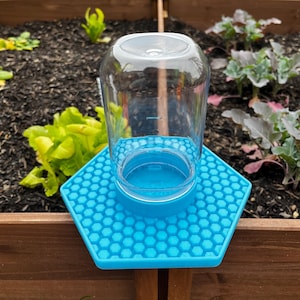 May include: A clear glass jar with a blue plastic base, resting on a hexagonal blue silicone mat. The mat has a honeycomb pattern. The jar is empty and appears to be for holding liquids. The background shows a garden setting.