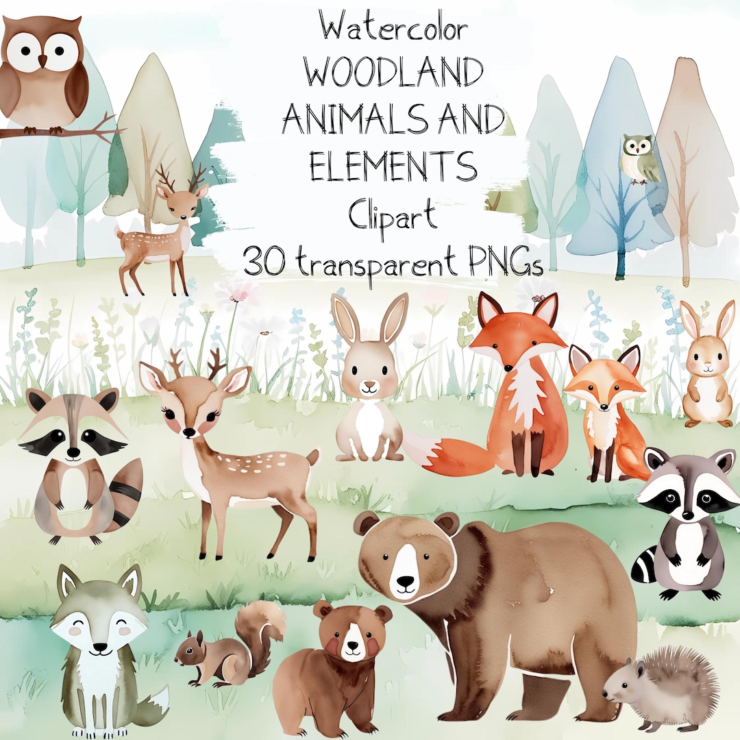 Watercolor Woodland Animals Clipart: Forest Nursery Graphics (PDF Link ...