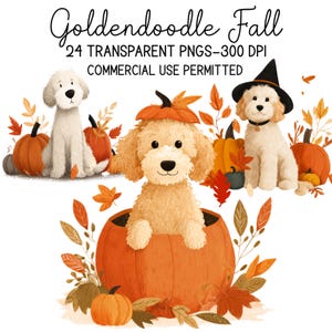 Puede incluir: Ilustración digital de perros Goldendoodle con calabazas y hojas de otoño. Un perro está sentado, otro está dentro de una calabaza y el tercero lleva un sombrero de bruja. El texto "Goldendoodle Fall" está en la parte superior.