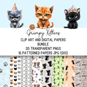 Könnte beinhalten: Ein digitales Papierpaket mit 35 transparenten PNGs und 16 gemusterten JPGs von grantigen Kätzchen. Das Paket enthält ein graues Kätzchen mit einer Partymütze, ein orangefarbenes Kätzchen mit grünen Augen und ein schwarzes Kätzchen mit einer Krone. Die gemusterten Papiere zeigen verschiedene Designs mit den Kätzchen, darunter Pfotenabdrücke, Sterne und das Wort "MEWW".