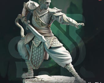 Serpentfolk Commander Miniature 3D Printed Resin Eastern Snake Warrior Miniature Jin Shi Eastern Model DnD Pathfinder TTRPG