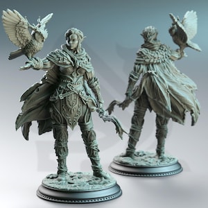 May include: A detailed, gray-toned figurine of an elf-like character holding an owl. The figure is adorned in intricate armor and a flowing cape. The owl is perched on the figure's hand. The image shows the front and back of the figurine.
