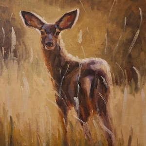Deer, Wildlife Oil Painting, Mule Deer Portrait, Golden Field Art, Nature Wall Decor, Woodland Animal Artwork, Rustic Cabin Decor