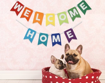 Welcome Home Rainbow Colors Bunting Laser Cut Felt 56 inches wide