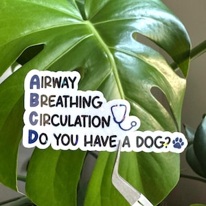 May include: A sticker with the words "Airway Breathing Circulation" and "Do you have a dog?" in blue, black, and white. A stethoscope graphic and a paw print are also included. The sticker is placed on a large green leaf.
