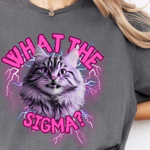 Katze Meme lustiges Shirt, Signorum Shirt, Katzenliebhaber Shirt, lustiges Katzen Meme Shirt, lustiges Shirt Katze | Geschenke-Für Katzen-Liebhaber, Katzen-Lover-Shirt, Meme Katze