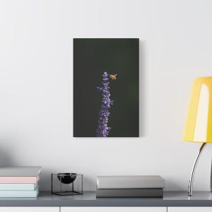 Honey Bee & Blue Salvia Canvas – Nature-Inspired Wall Art 12' x 18"