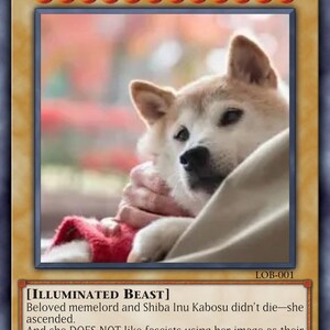 Parodie YuGiOh Sammelkarten, Popkultur und Philosophie, Verschiedenes, Yokai Kabosu