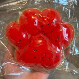 Puede incluir: Una bola antiestrés roja con forma de pata con detalles de semillas negras, empaquetada en una bolsa de plástico transparente. La bola antiestrés tiene un contorno verde y está diseñada para parecerse a una sandía.