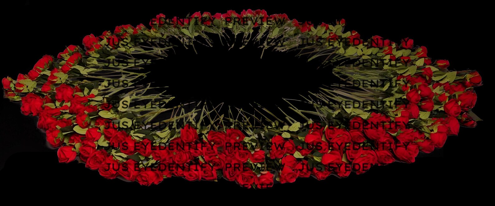 White Roses Overlay Rose Overlay Transparent Digital Backdrop - Etsy