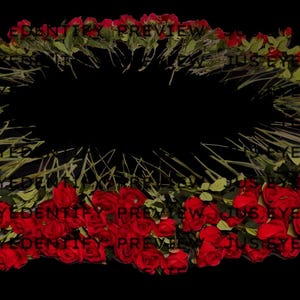 May include: A circle of red roses with green stems and leaves, arranged in a wreath shape. The roses are tightly packed together, creating a dense and vibrant display.