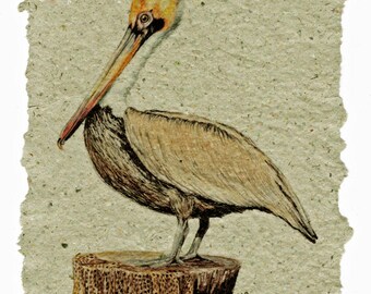 Brown Pelican on Handmade Paper