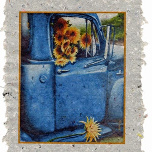 Haulin Sunshine