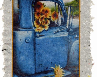 Haulin Sunshine