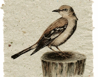Mockingbird on Handmade Paper
