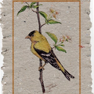 American Goldfinch on Handmade Paper