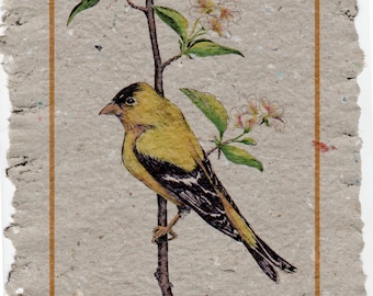 American Goldfinch on Handmade Paper