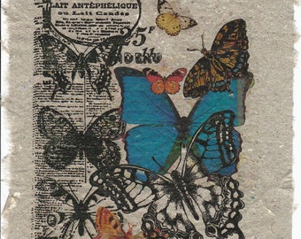 Flight of the Butterflies