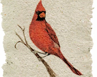Cardinal on Handmade Paper