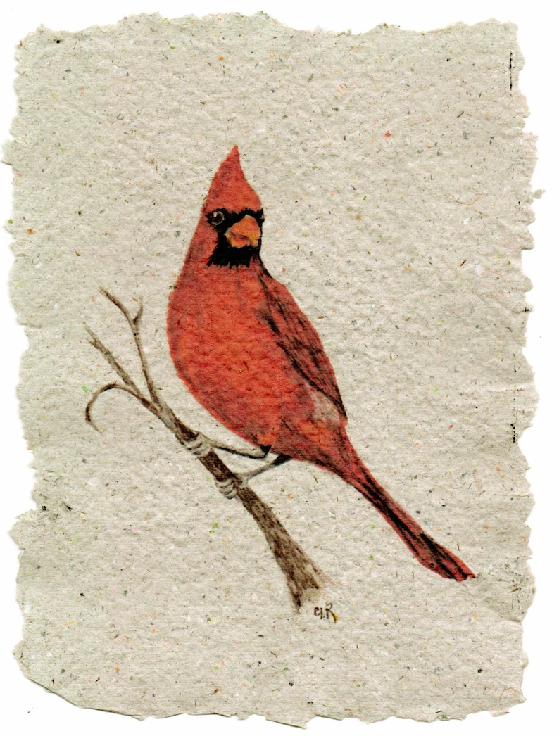 Cardinal Texture Cardinal on Handmade Paper - Etsy