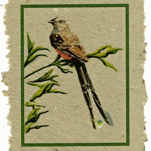 Scissortail