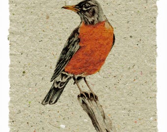 Robin on Handmade Paper