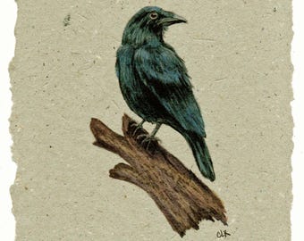 Raven on Handmade Paper