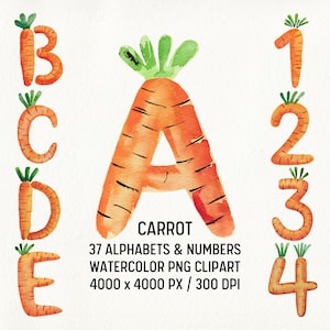 Letras del alfabeto de zanahoria en acuarela PNG Clipart, fuente vegetal, granja fresca, fuente vegetal, letra de primavera, jardín png, comida saludable, granja para niños