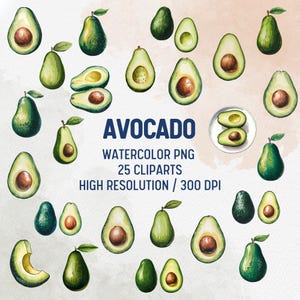 Watercolor Avocado Cliparts Hand Painted Fruit for Crafts Kitchen Decor Recipe Cards, Avocado sticker, Tropical fruit, Natural food clipart