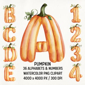 Akvarell pumpa alfabetet bokstäver PNG Clipart set, höstalfabet, höstskördetypsnitt,