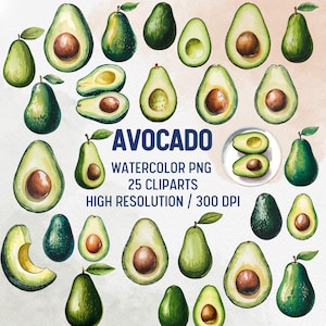 Watercolor Avocado Cliparts Hand Painted Fruit for Crafts Kitchen Decor Recipe Cards, Avocado sticker, Tropical fruit, Natural food clipart