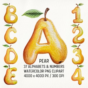 Clipart PNG con lettere dell'alfabeto a forma di pera acquerellata, carattere di frutta, clipart dell'alfabeto di frutta, lettere di pera, alfabeto fruttato, carattere di frutta, alfabeto per bambini