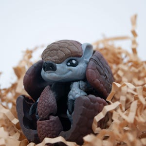 Armadillo 3D printed  Rolling Articulated Toy Fidget Gift | Desk Pet and Bookshelf Decoration