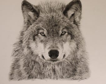 Lone Wolf