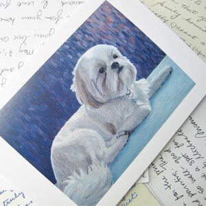 Blank card with small dog, shih tzu, greeting card, lhasa apso, toy dog, white dog, pet portrait, dog card