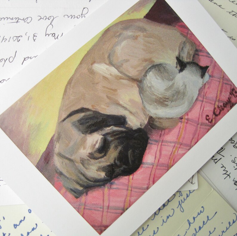 Tomt kort med katt och hund som gosar, rosa, gul, katt och hund som gosar, rosa rutig, mastiff, bullmastiff, gammal engelsk mastiff, katt, hund bild 1