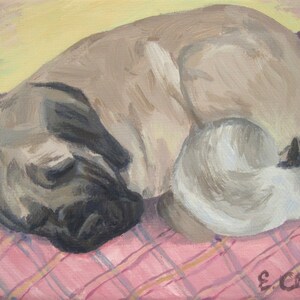 Tomt kort med katt och hund som gosar, rosa, gul, katt och hund som gosar, rosa rutig, mastiff, bullmastiff, gammal engelsk mastiff, katt, hund bild 3